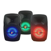 Parlante Bluetooth de 15” de 60W, con luces LED de colores, incluye 1 micrófono, trípode, control remoto