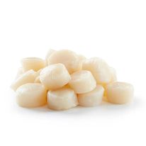 Conchas de abanico (s/n coral)