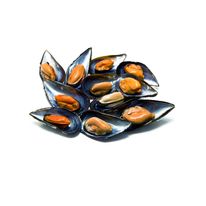 Mejillones