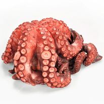 Pulpo (entero) 1.2 - 1.8kg