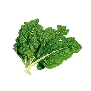 image-e8a05fd632df471aa68c050cdabf77c6.jpg