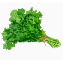 Culantro