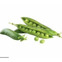 Arverja Americana