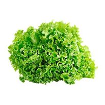Lechuga Crespa