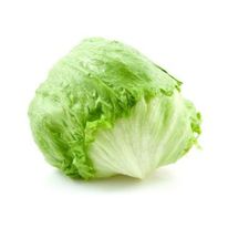 Lechuga Americana