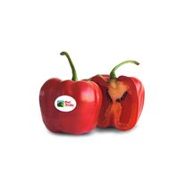 Rocoto X 500G
