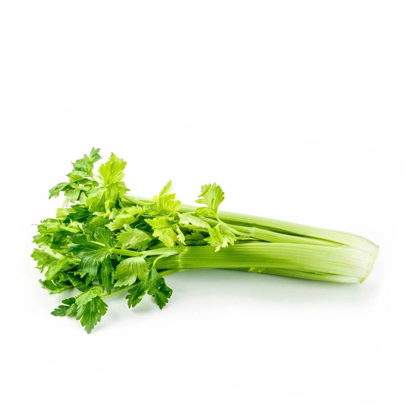 image-20ace7c0e7a74d0b856dc4a9f448f32b.jpg