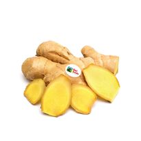 Kión X 250G