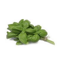 Albahaca X Atado