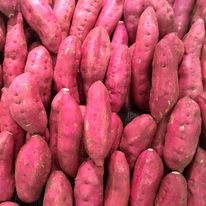 Camote Morado Kg