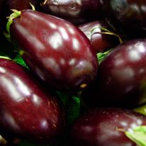 Berenjena Und