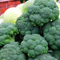 Brócoli Kg