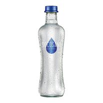 Agua Mineral Socosani Con Gas Vidrio 355Ml