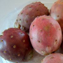 Tuna Roja Kg