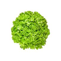 Lechuga Orgánica X Unidad