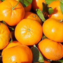Mandarina sin pepa 1Kg