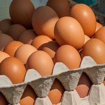 Huevos Avinka Bandeja x 30 und