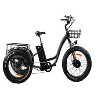 Triciclo eléctrico color negro, batería de 48V 10.4AH, autonomía 30km, vel máx 30 km/h, 500W, llanta delantera de 24"x4", posteriores de 20"x4", 7 vel