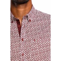 Camisa Estampada Kalendar