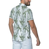Camisa Palmas Fiurer