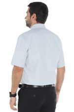 CAMISA-D-HERNANDO-CMSH246-2122-GRIS_2.jpg